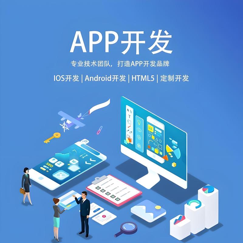 海南软件开发